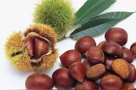 炒栗子为啥要加砂子？用糖炒是为了调味吗？图片