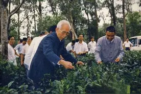 开国上将王震8回家乡，为家乡做了三件大事，至今乡亲都还在夸他图片