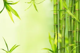 “富贵之人，早有预兆”：一个人有这三个特征，往往发达显贵图片