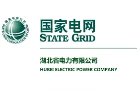 国网湖北省电力有限公司市场化单位专业人才招聘公告图片