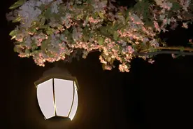 容易有“外遇”的星座男，原则不清晰，底线不坚守，建议远离图片