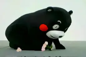 轻信网络投巨资，竹篮打水梦成空图片