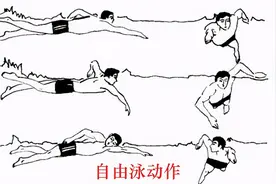 游泳的好处及弊端图片