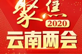 云南省第十三届人民代表大会第三次会议选出云南省人大常委会委员图片