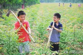 13岁卖废品的男孩：肯吃苦的孩子，自有他的天地图片