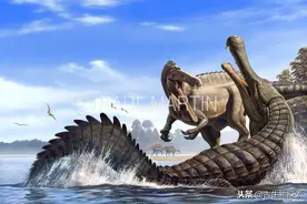 帝鳄：白垩纪北非的水下狂魔图片
