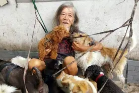 香港富二代郑六三：不知节俭挥霍完遗产，宁可流浪街头也不打工图片