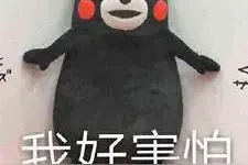 得了肾病，一点肉都不能吃？图片