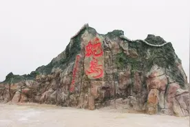海洋之中的蛇岛是怎么形成的？这些蛇为什么越来越毒？图片