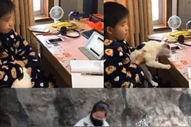 教育的最大骗局，就是释放孩子的天性图片