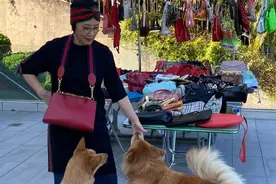 汪明荃真不显老，73岁爱潮流打扮，结婚不生娃有狗陪伴也幸福图片