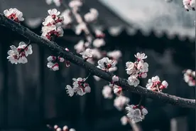 保险防坑攻略系列篇5:异地投保，可以吗？图片