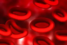 细胞成功“变身”，治疗糖尿病有了新方法图片