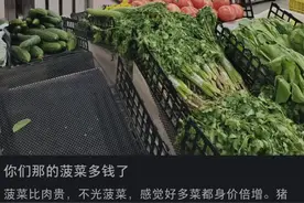 各地菜比肉贵的现象，是怎么回事？图片