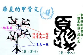 中国是华夏民族，夏朝用“夏”做名字，可“夏”到底是什么意思？图片