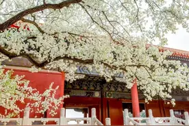 世界文化遗产——明十三陵，该如何保护？本文带你全方位了解图片