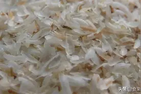 通便刮油瘦肚子，「车前子壳粉」到底有多好用？用过的人说好图片