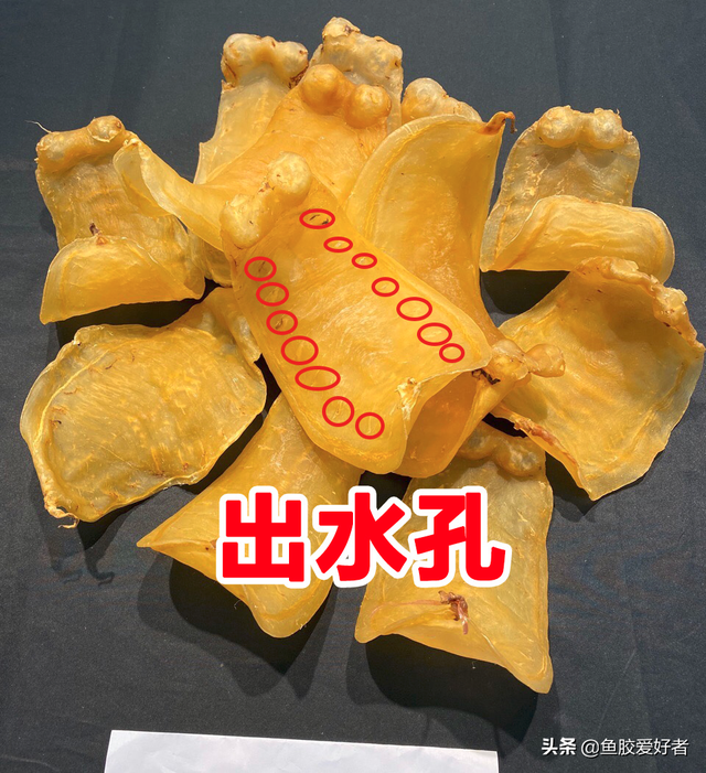 金兰赤嘴鱼胶的产地 2026年金兰赤嘴鱼胶的食用方法
