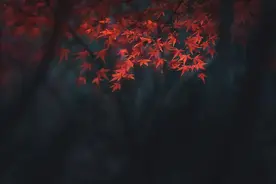 人物｜特立独行的海瑞图片