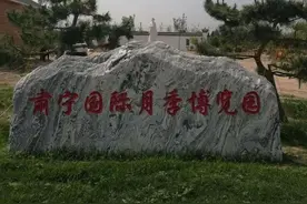 沧州人的秘密花园，肃宁国际月季博览园也太美了！图片