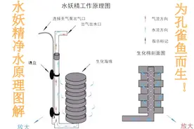 中小型鱼缸净水神器，水妖精工作原理解析，我把一切告诉你视频封面