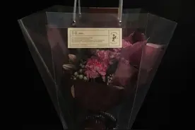 网易云热评：记得紫薇失明走散的那集吗？尔康在妓院找到她的图片