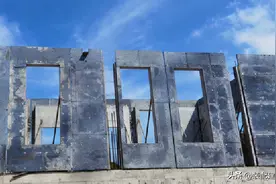 2020年上海市装配式建筑示范项目观摩——闵行区虹庐湾项目图片