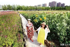 八月大庆花似锦满城俱是看花人图片