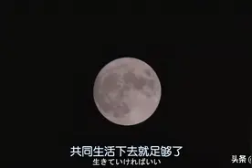 王琳儿子公开支持妈妈再婚：离婚重组家庭真的会幸福吗？图片