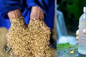 一斤粮食换不来一瓶矿泉水, 农民这个职业还有必要存在吗?图片