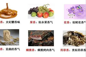 酒学问｜黄酒的风味特色图片