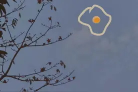 2021十二星座都能展现出多大的潜力？11月的水瓶座实在让人意外图片