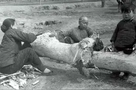 古代闹饥荒时，为何灾民放着河里的鱼虾不抓，宁可吃草根啃树皮？图片