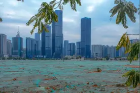 香蜜湖，再见图片