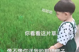 表情包：你看看这片草，像不像你送我的那顶帽子图片