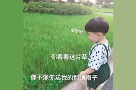表情包：你看看这片草，像不像你送我的那顶帽子图片