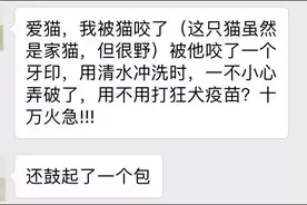 狂犬病!我们都被它骗了多少年？图片