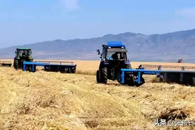 念好“三句口诀”山丹马场二场抓实秋收工作图片