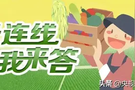 荔枝你就知道“妃子笑”？带你认识庞大家族图片