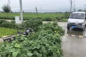 姜堰一路口两车相逢，司机互不相让，结果悲剧了图片