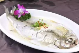 吉林市美食推荐：“清蒸白鱼”，鱼肉细腻、味道鲜美，简单做法图片