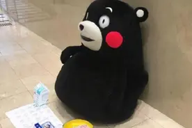 自学考试中药学（本科）考试安排（适合10月开考新生）图片