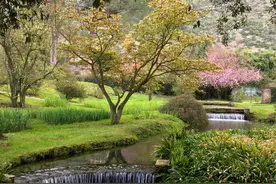 Ninfa：意大利最傲娇的公园，天堂在人间的倒影图片