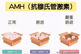 AMH小于1＝怀不上？生殖科专家教你如何试管助孕！图片
