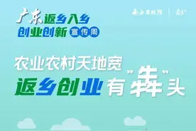 @所有创业者，了解这些广东返乡入乡创业政策，去乡村展翅翱翔！图片