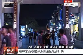「厉害了」桂林首条，这条街被评为自治区级步行街图片