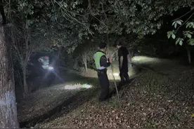 杭州富阳先锋应急救援队摸黑进山搜寻第三只豹子图片