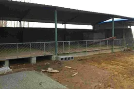农村养50只羊舍简易建筑图，简易羊棚的搭建，造价便宜节省成本图片