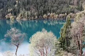 去九寨沟旅游不能说走就走，注意这些事项，才能玩的开心图片