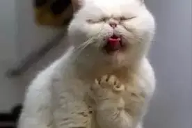 清热解毒那么久，为什么还是嗓子疼图片